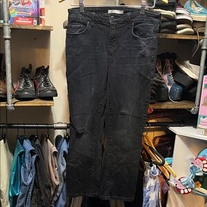 Eunina Black Cropped Boot Cut Women's Jeans